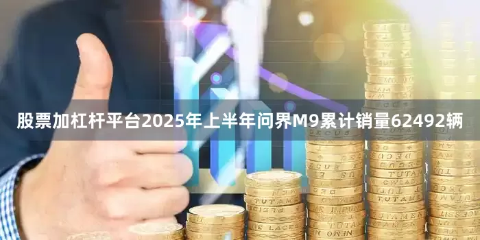 股票加杠杆平台2025年上半年问界M9累计销量62492辆