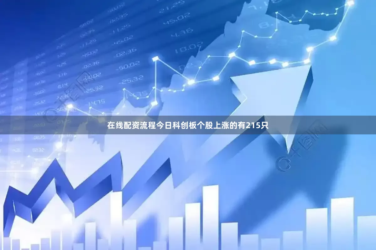 在线配资流程今日科创板个股上涨的有215只